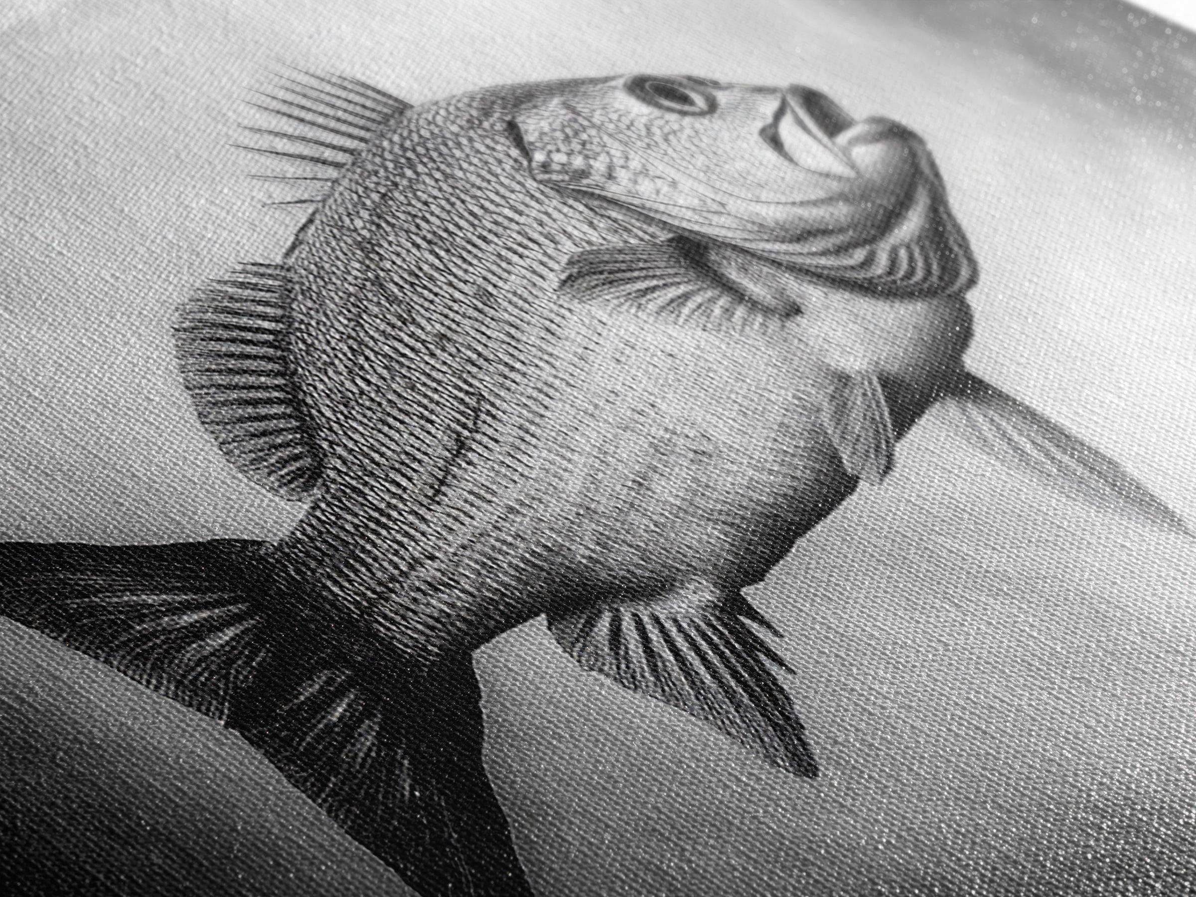 Floating Fish, Surreal Ocean, Realistic Scales, Sky Scene, Framed Canvas Print, Nautical Wall Art, Coastal Decor, Fishing Cabin Aesthetic