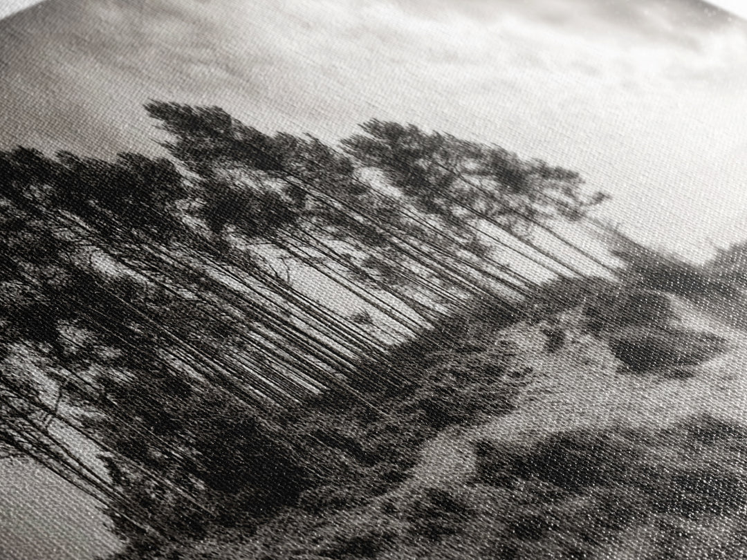 Coastal Pines, Ocean View, Windswept Trees, Framed Canvas Print, Minimalist Landscape Art, Neutral Tones, Entryway Wall Decor