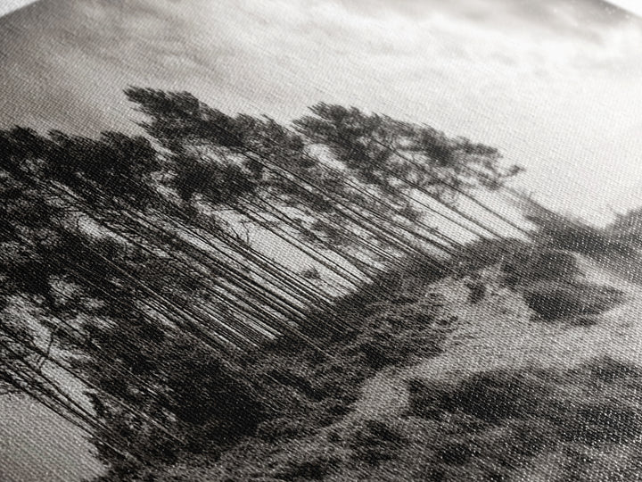 Coastal Pines, Ocean View, Windswept Trees, Framed Canvas Print, Minimalist Landscape Art, Neutral Tones, Entryway Wall Decor