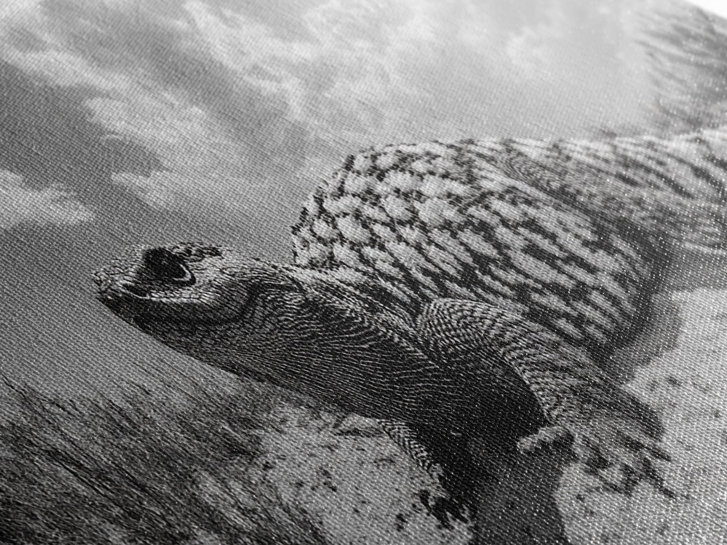 Desert Lizard, Reptile Closeup, Sunbaked Texture, Canvas Print, Wildlife Photography, Bold Wall Art, Southwestern Living Room