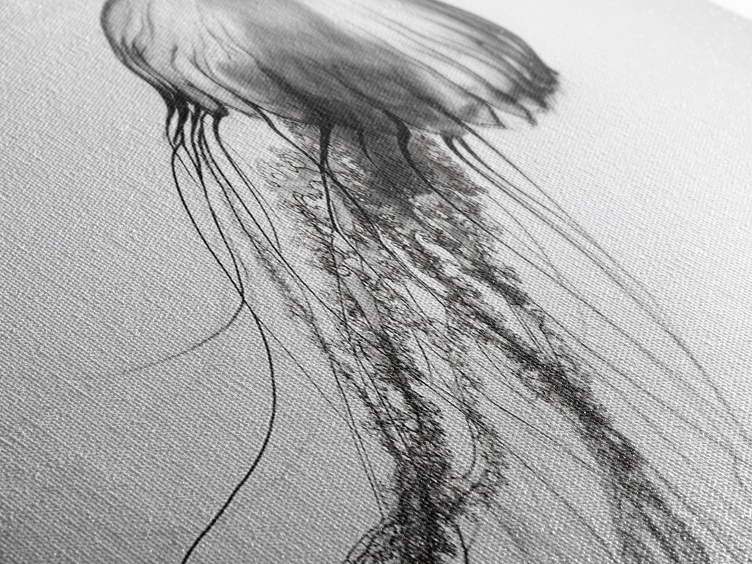 Jellyfish, Ocean Flow, Underwater Beauty, Canvas Print, Marine life wall decor, Coastal bathroom art, Minimalist ocean art, Black and white