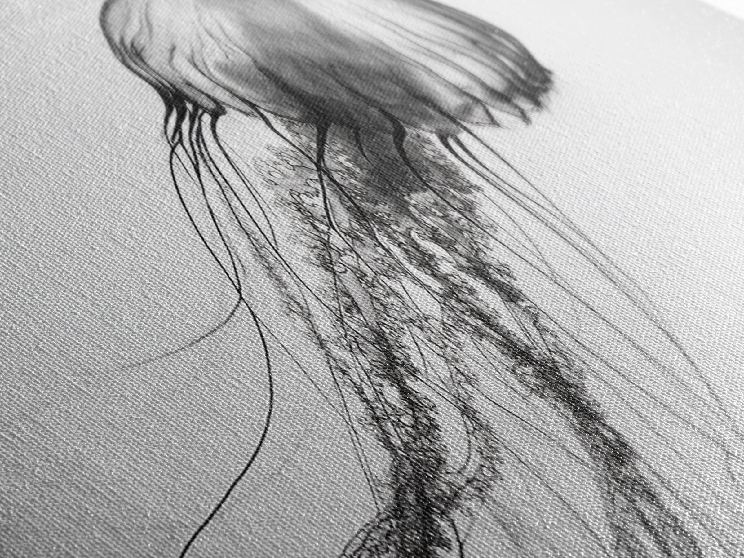 Jellyfish, Ocean Flow, Underwater Beauty, Canvas Print, Marine life wall decor, Coastal bathroom art, Minimalist ocean art, Black and white