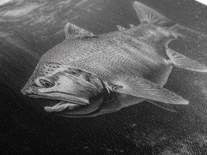 Underwater Fish, Lake Trout, Black and White Ocean, Framed Canvas Print, Coastal Bathroom Art, Fisherman Gift, Nautical Wall Decor