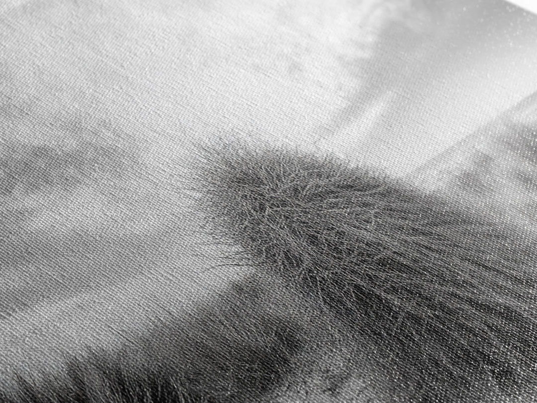 Beach Dunes, Coastal Grass, Nature Serenity, Canvas Print, Minimalist Bedroom Art, Soft Tones, Tranquil Beach Wall Decor