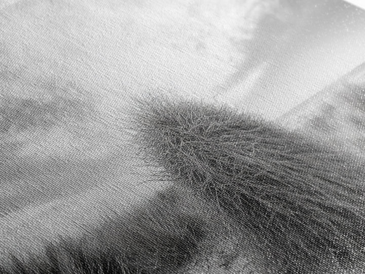 Beach Dunes, Coastal Grass, Nature Serenity, Canvas Print, Minimalist Bedroom Art, Soft Tones, Tranquil Beach Wall Decor