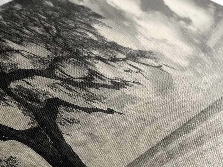 Southern Oak, Coastal Tree, Beachfront Tranquility, Serene Landscape, Canvas Print, Neutral Living Room Art, Boho Nature Decor, Beach Wall Art