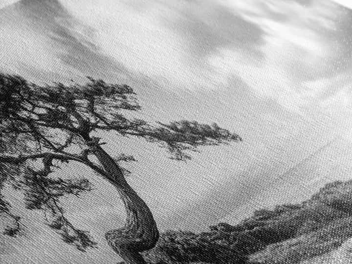 Windswept Tree, Coastal Nature, Ocean Cliff View, Framed Canvas Print, Zen Wall Art, Minimalist Decor, Calm Living Room Accent