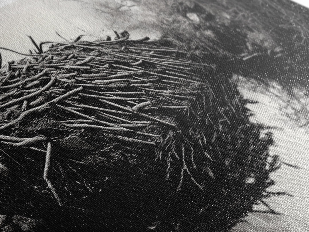 Beaver Dam, Nature Structure, Quiet Creek, Reflection Art, Framed Canvas Print, Cabin Wall Art, Rustic Decor, Woodland Black and White Art