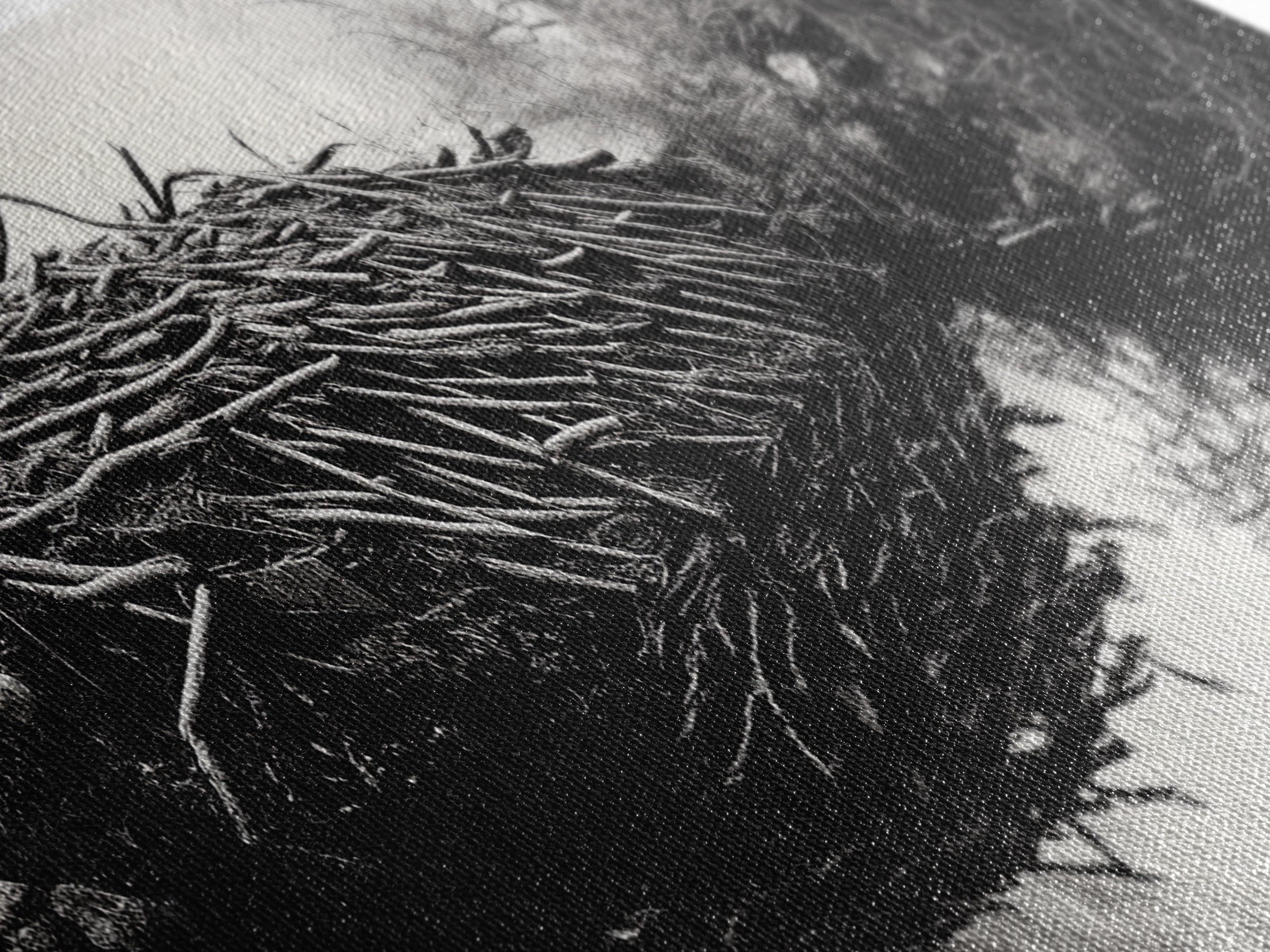 Beaver Dam, Nature Structure, Quiet Creek, Reflection Art, Framed Canvas Print, Cabin Wall Art, Rustic Decor, Woodland Black and White Art