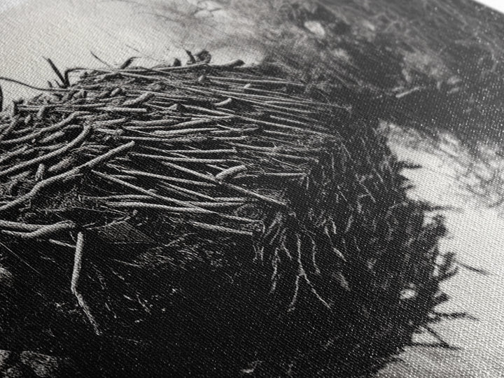 Beaver Dam, Nature Structure, Quiet Creek, Reflection Art, Framed Canvas Print, Cabin Wall Art, Rustic Decor, Woodland Black and White Art