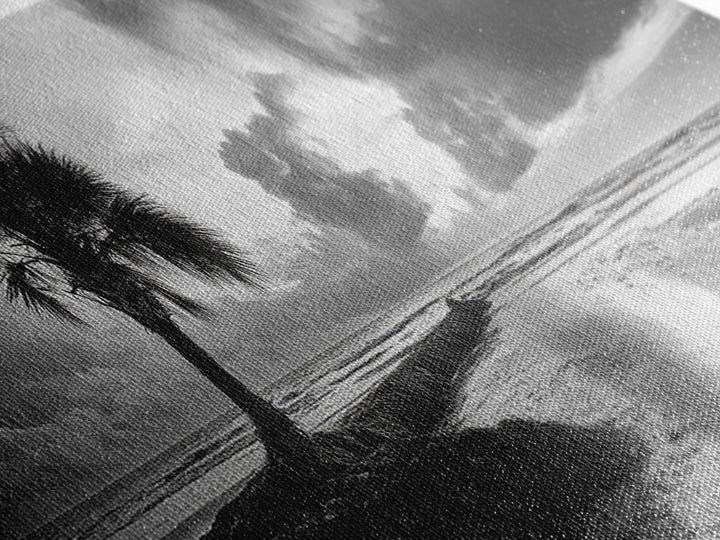 Solitary Palm Tree, Ocean Storm, Moody Landscape, Beach Wall Decor, Framed Canvas Print, Coastal Living Room Art, Monochrome Photography