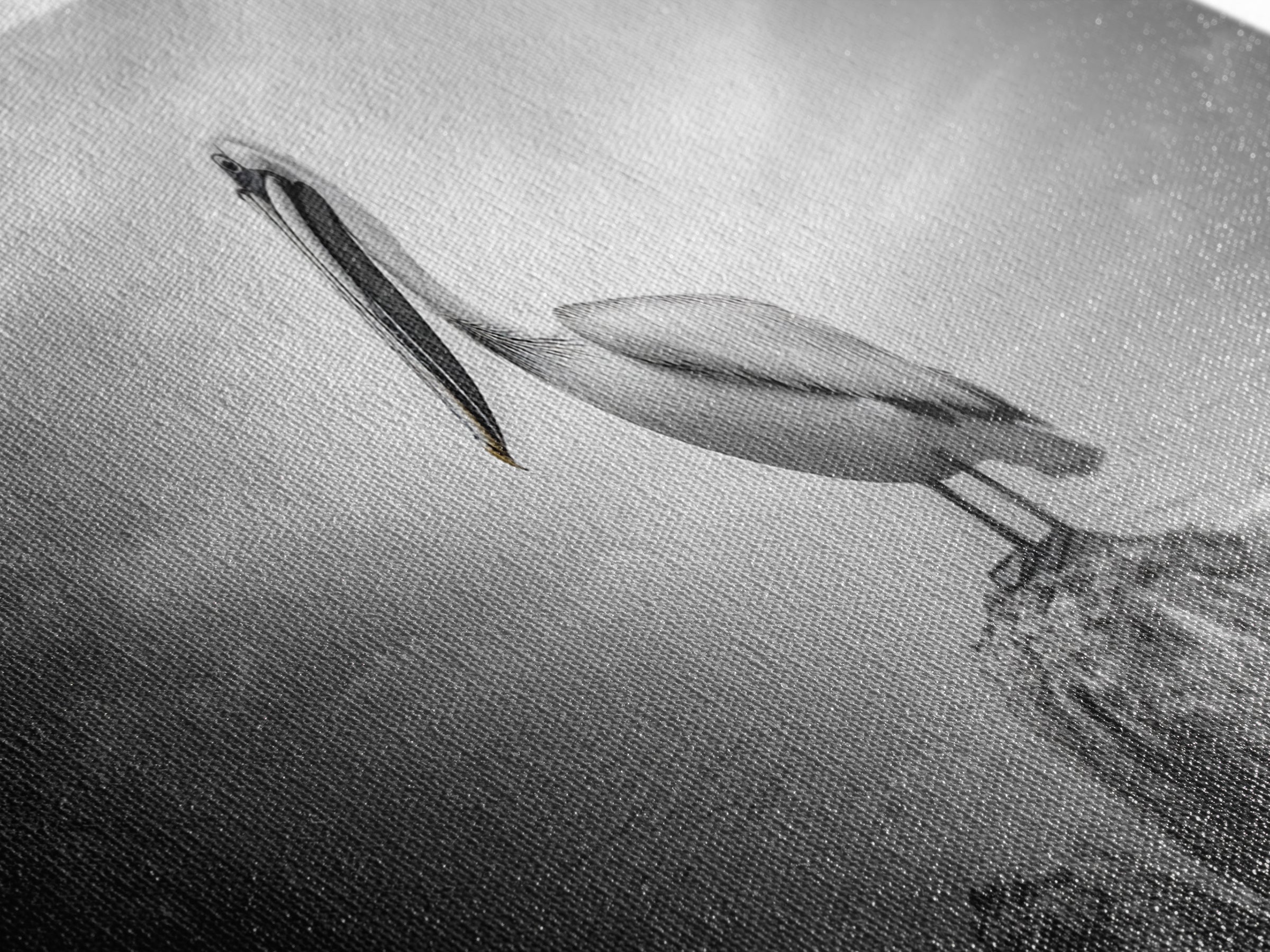 Coastal Pelican, Ocean Rock, Tranquil Wildlife Scene, Framed Canvas Print, Beach House Wall Art, Seaside Nature Decor, Moody Tones