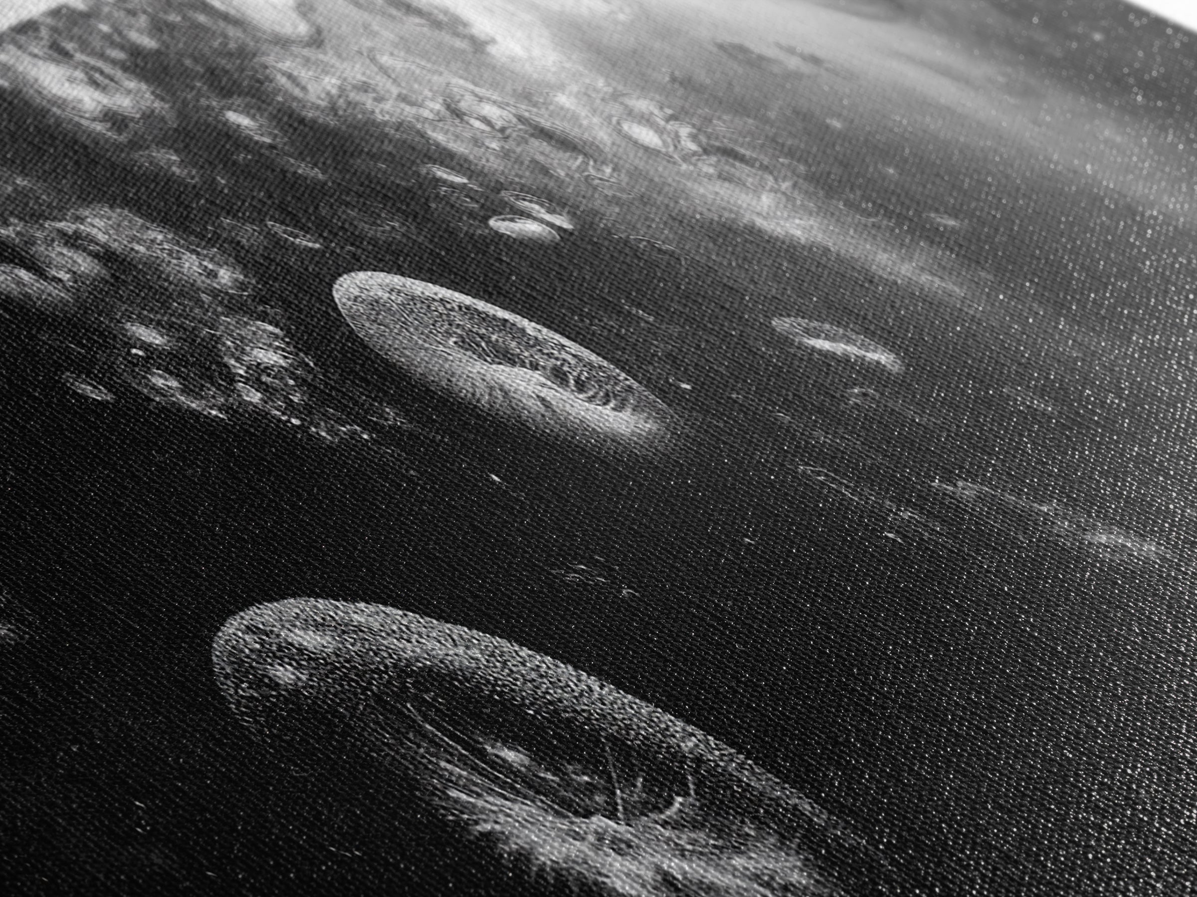 Jellyfish Dreams, Ocean Depths, Abstract Motion, Canvas Print, Coastal Bathroom Art, Nautical Theme, Moody Black and White Sea Life