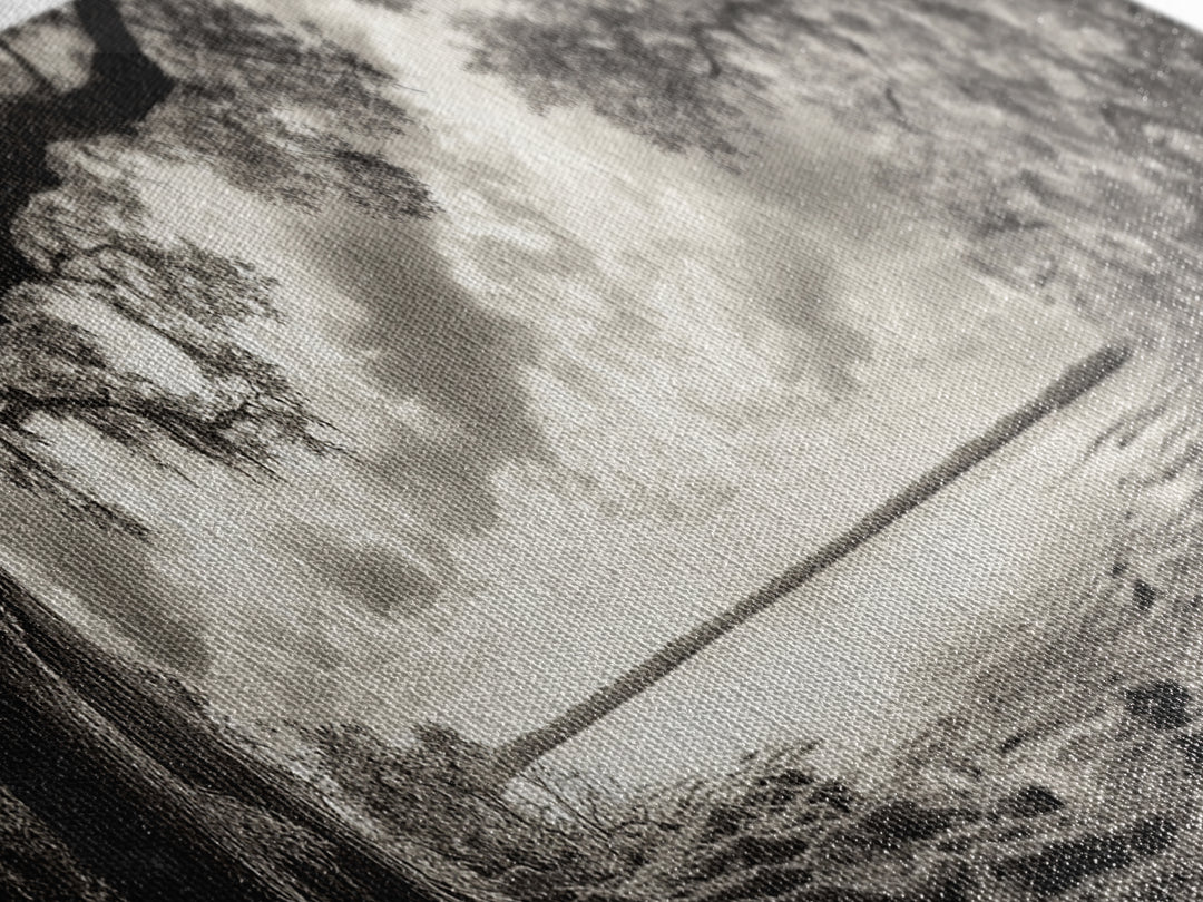 Ancient Tree, Spanish Moss, Forest Path, Framed Canvas Print, Rustic Nature Art, Living Room Wall Art, Earthy Tones, Woodland Photography