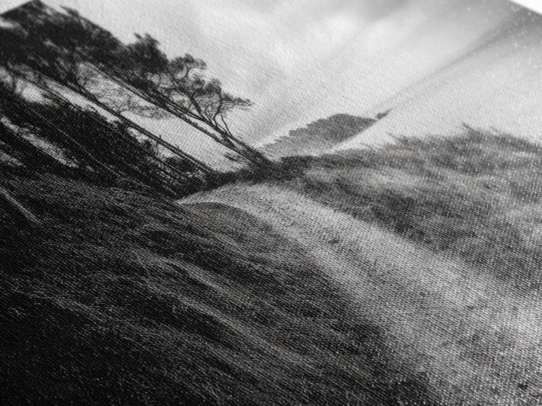 Coastal Trail, Forest Edge, Serene Path, Canvas Print, Black and White Nature Art, Entryway Wall Art, Tranquil Landscape, Moody Decor