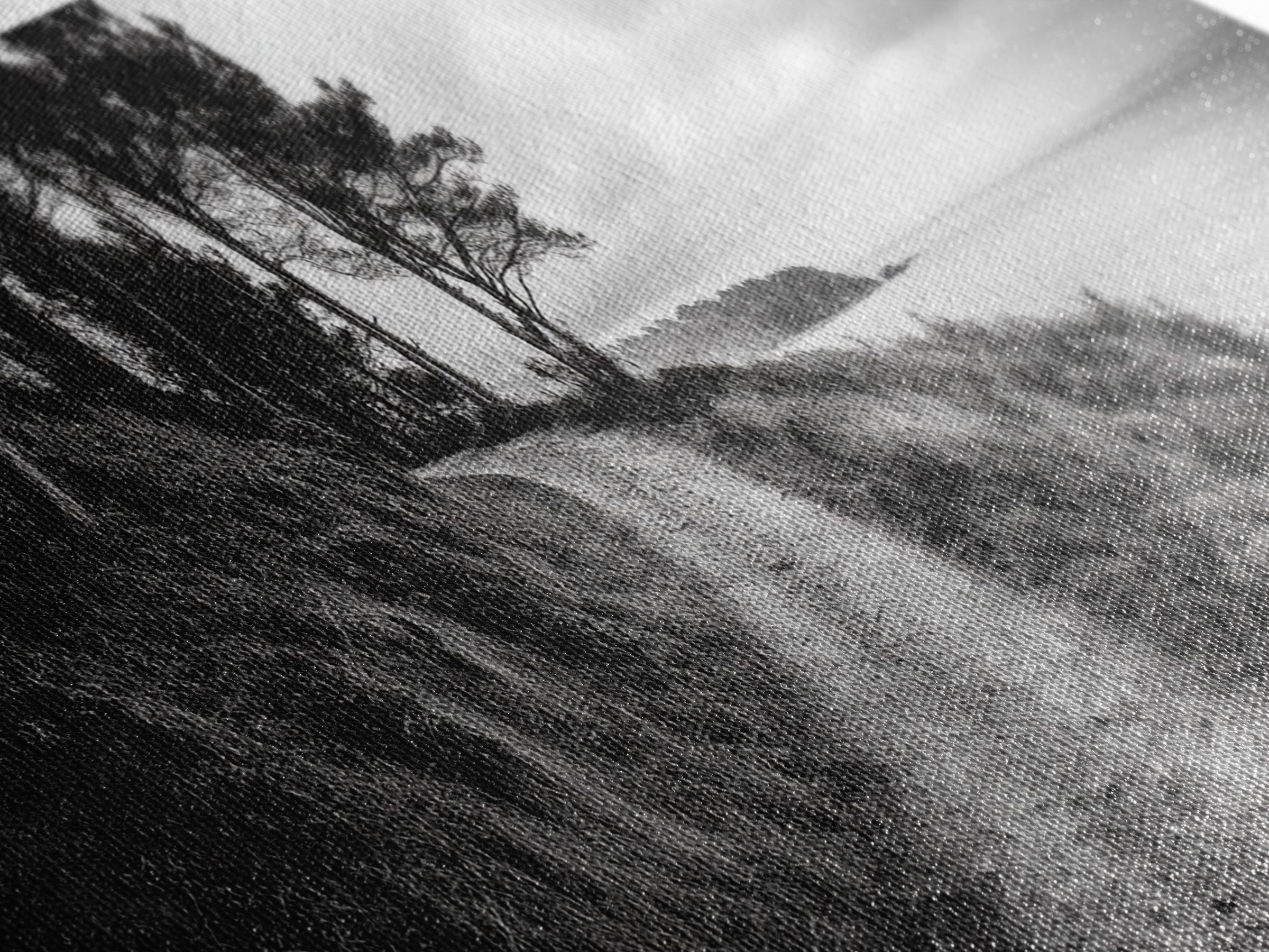 Coastal Trail, Forest Edge, Serene Path, Canvas Print, Black and White Nature Art, Entryway Wall Art, Tranquil Landscape, Moody Decor