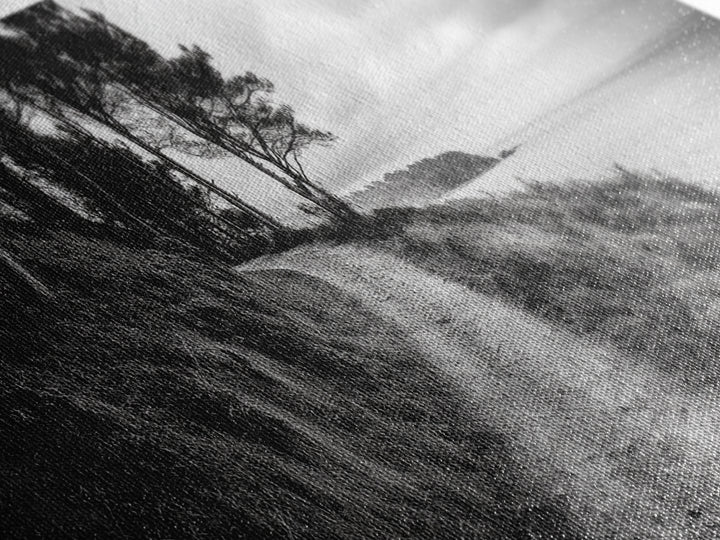 Coastal Trail, Forest Edge, Serene Path, Canvas Print, Black and White Nature Art, Entryway Wall Art, Tranquil Landscape, Moody Decor