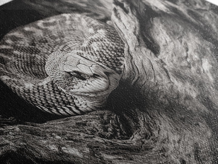Coiled Rattlesnake, Wild Nature, Black and White, Canvas Print, Rustic Decor, Man Cave Wall Art, Cabin Style, Animal Photography, Moody Art