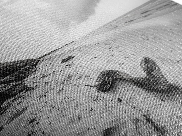 Snake On Beach, Coastal Wildlife, Dramatic Black and White, Framed Canvas Print, Nature Wall Art, Minimalist Decor, Office Statement Art