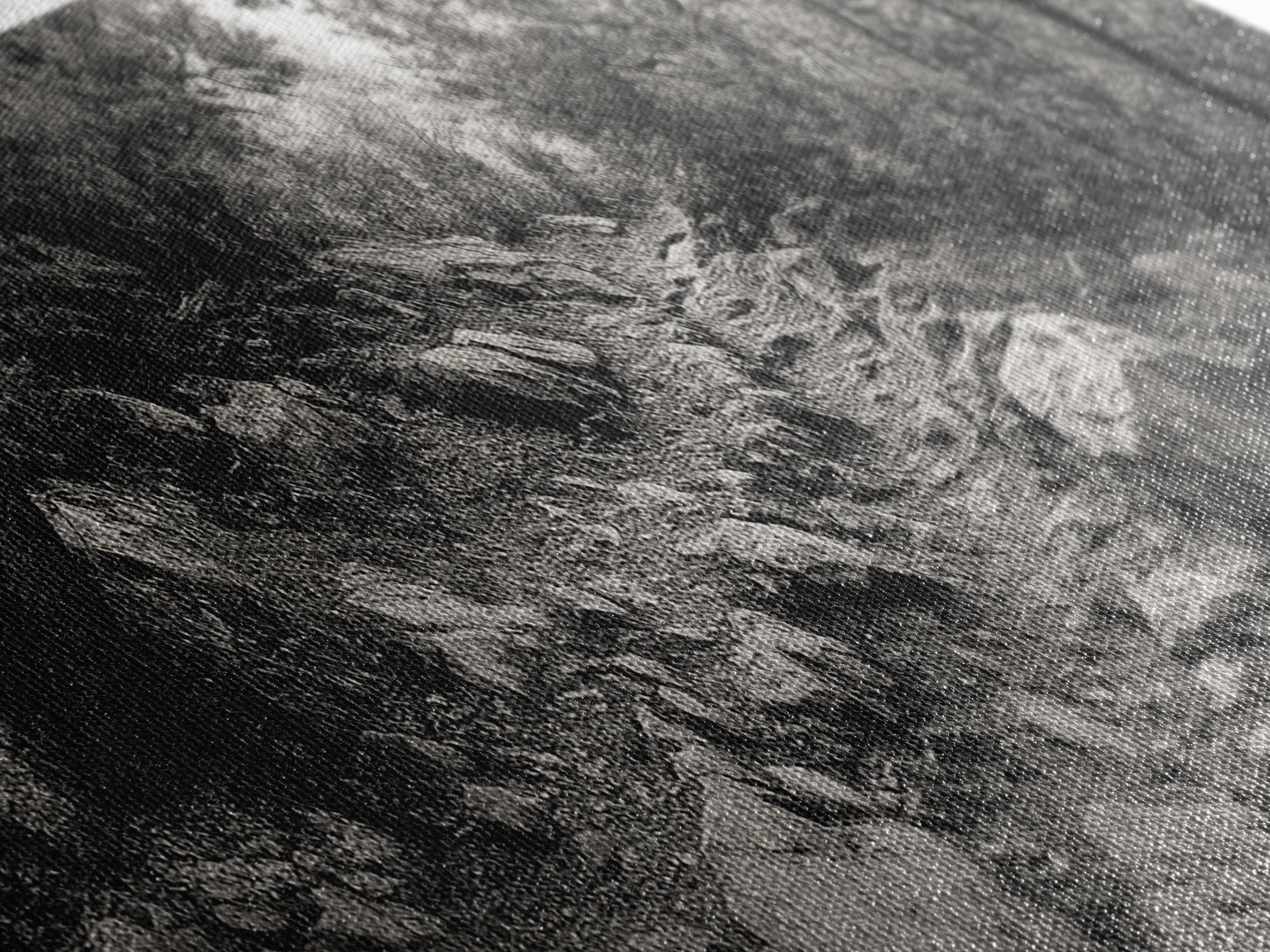 Rocky Path, Forest Trail, Autumn Mood, Canvas Print, Nature Photography, Rustic Entryway Decor, Woodland Art, Cabin Hallway Style