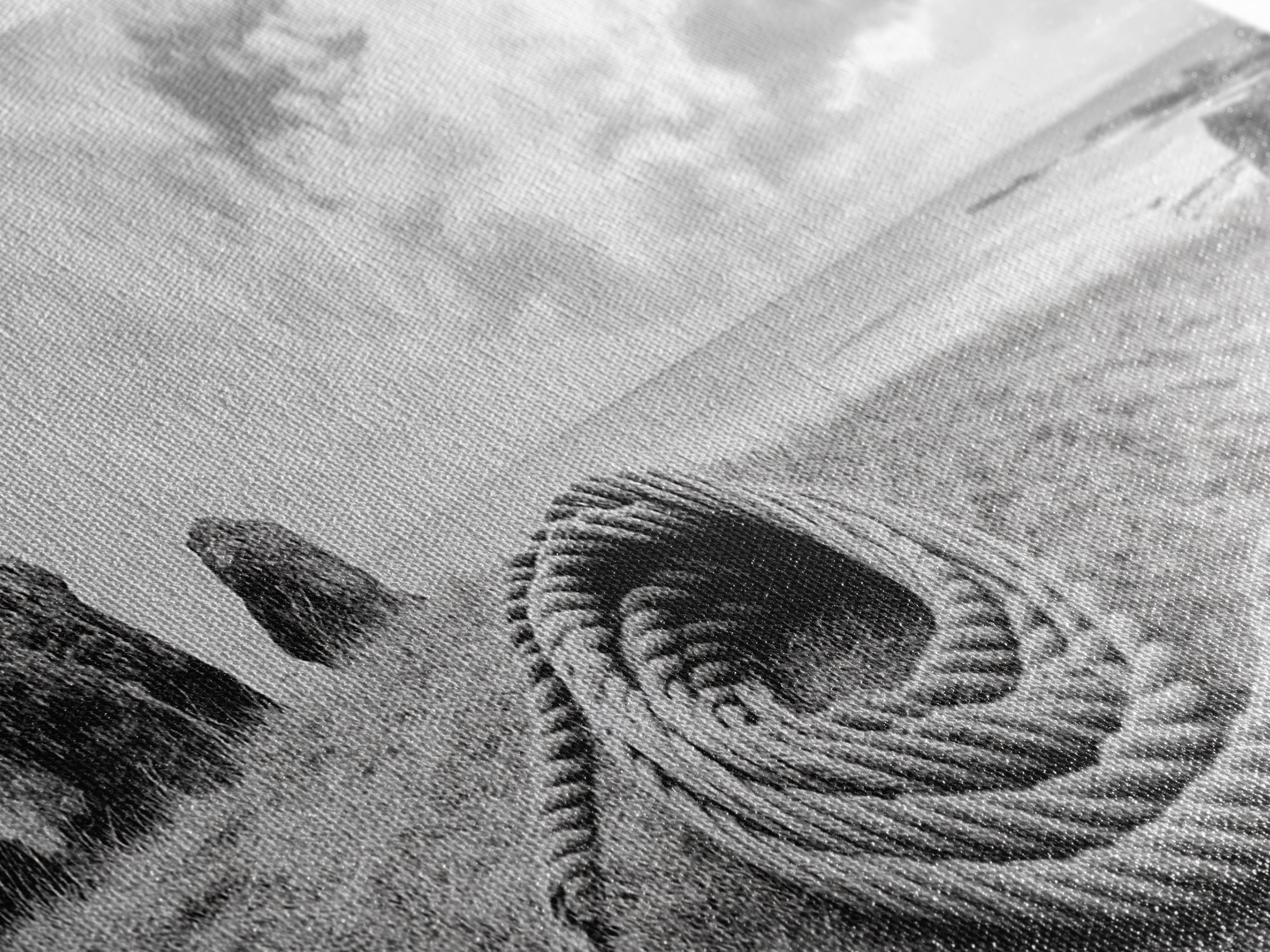 Coastal Rope, Windswept Bluff, Seaside Grass, Framed Canvas Print, Beach House Art, Nautical Decor, Neutral Living Room Style