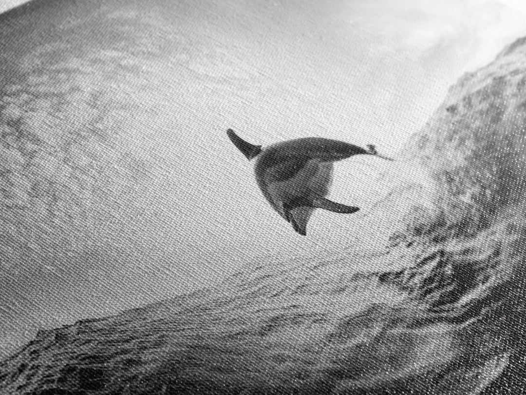 Ocean Dolphin Jump, Seascape Art, Black White Photography, Coastal Wall Decor, Canvas Print, Minimalist Bathroom Wall Art, Nautical Style