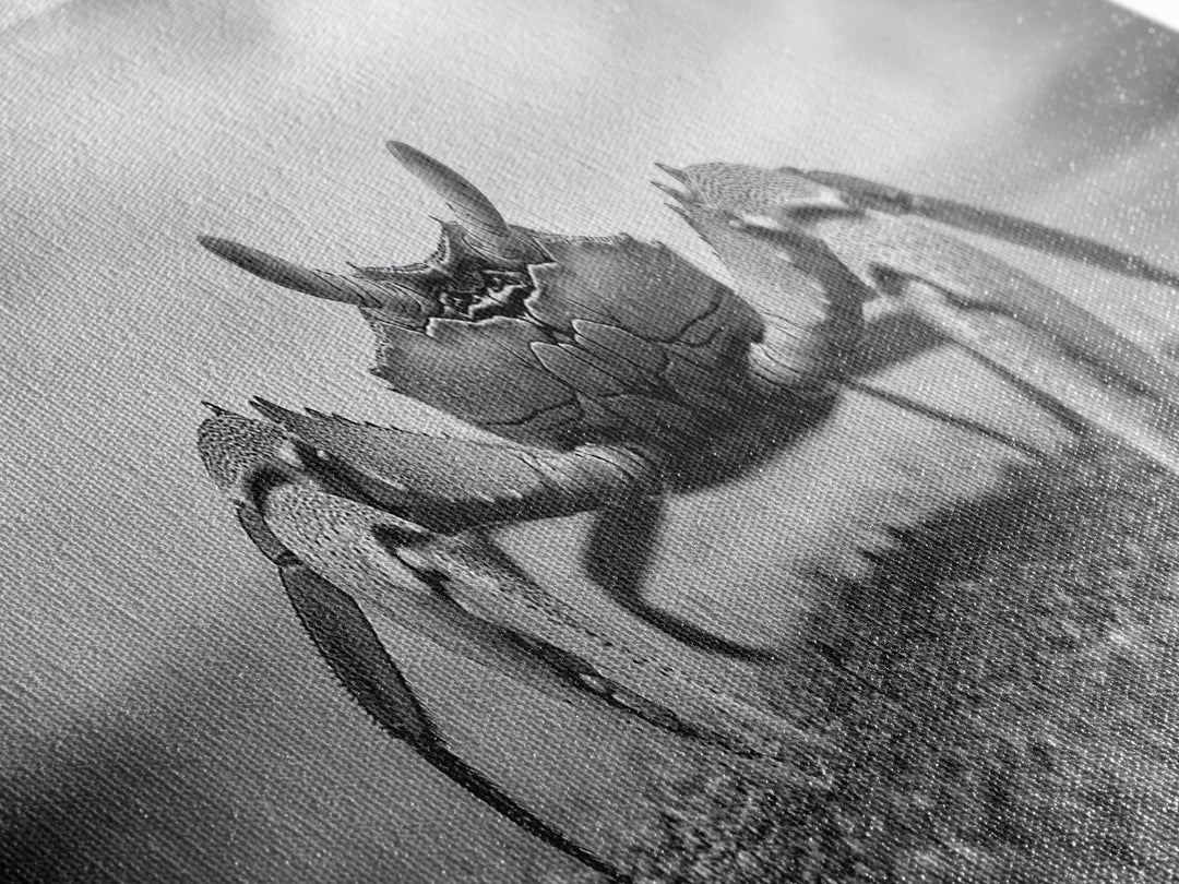 Closeup Crab, Coastal Creature, Dramatic Sand, Framed Canvas Print, Beach Wall Art, Nautical Bathroom Decor, Ocean Nature Photo