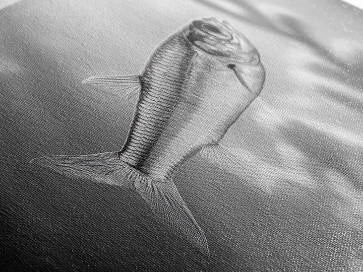 Silver Fish Closeup, Underwater Life, Marine Wildlife Art, Black and White Framed Canvas Print, Coastal Bathroom or Den Wall Art