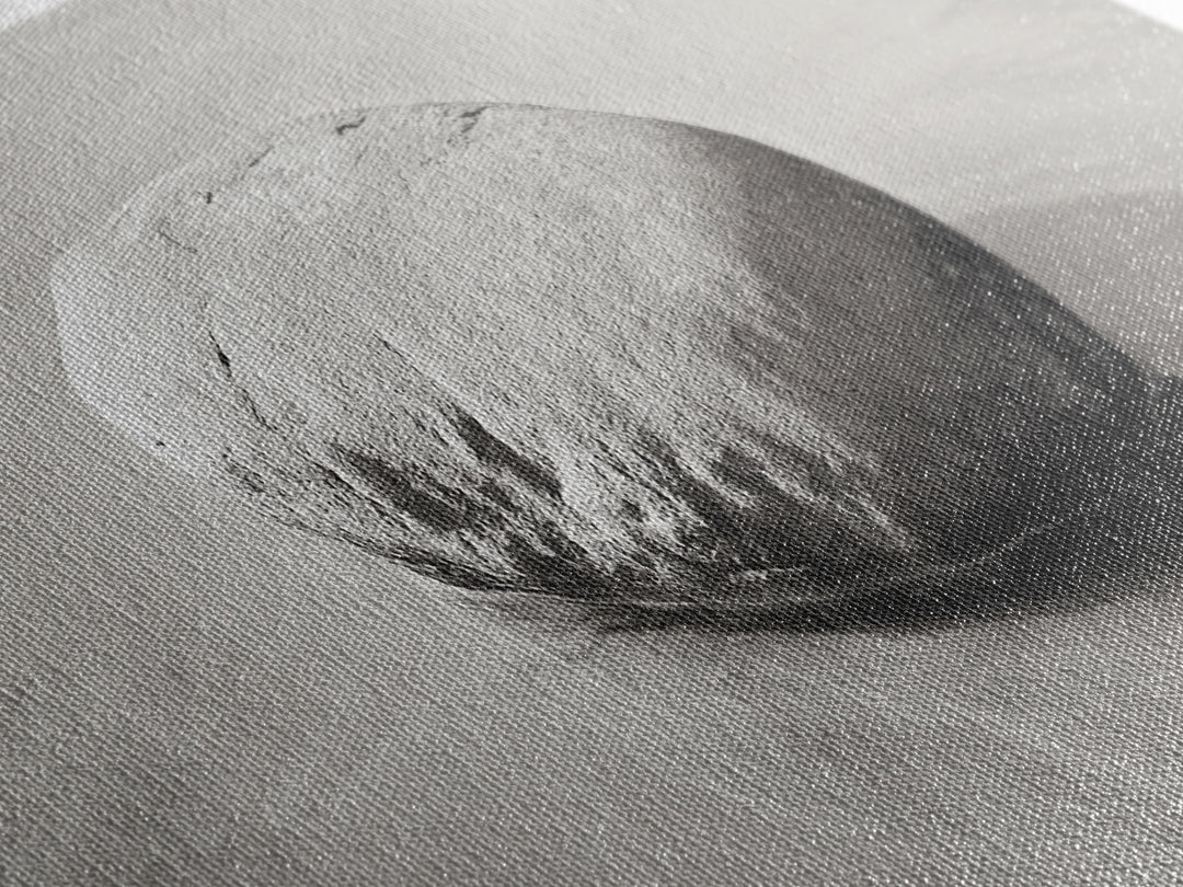 Smooth Beach Rock, Minimal Seascape, Zen Coastal Decor, Tranquil Framed Canvas Print, Modern Spa or Bedroom Wall Art