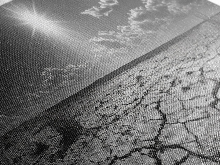 Cracked Earth, Desert Heat, Sunburst Drought, Canvas Print, rustic fall decor, southwest desert art, boho entryway wall statement