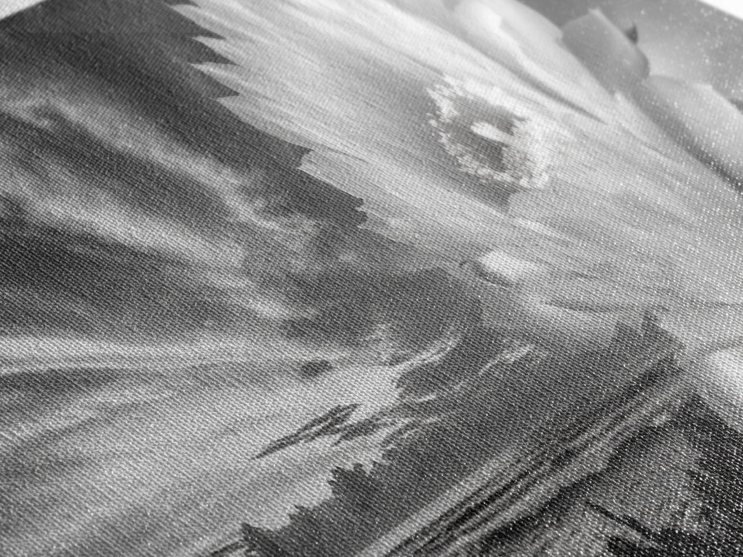 Desert Bloom Flower, Coastal Cactus Sunrise, Nature Canvas Print, Southwestern Wall Art, Boho Bathroom or Bedroom Decor