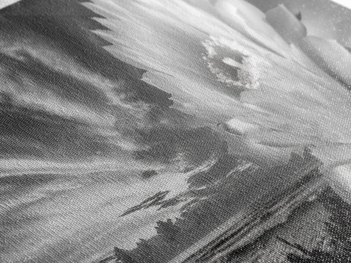 Desert Bloom Flower, Coastal Cactus Sunrise, Nature Canvas Print, Southwestern Wall Art, Boho Bathroom or Bedroom Decor