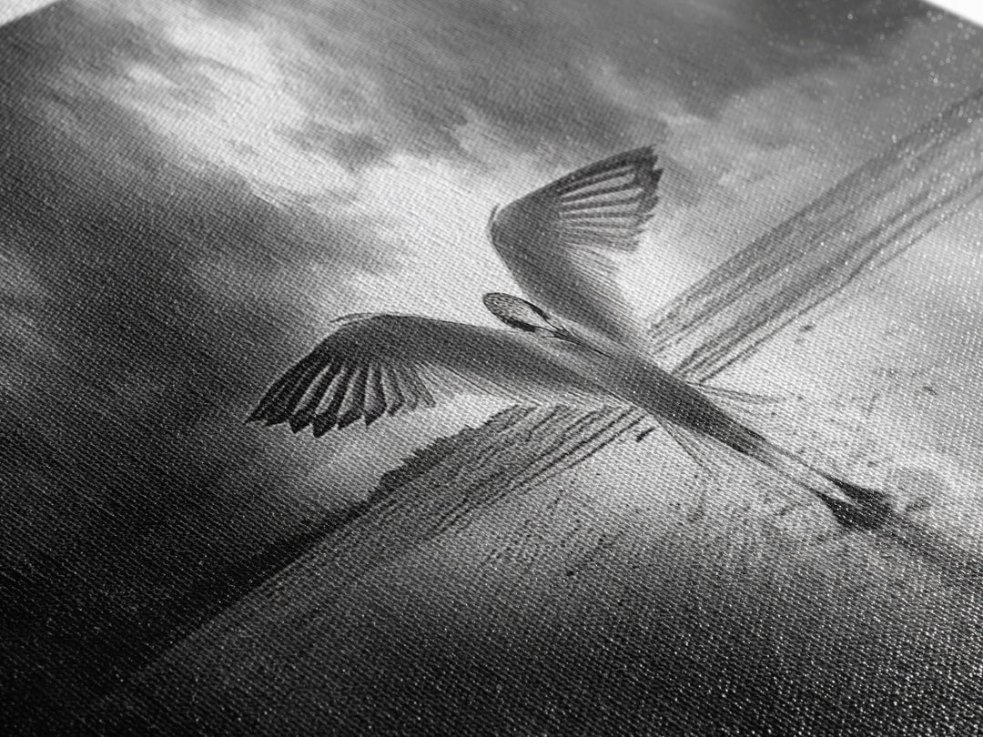 Winged Bird Beach, Coastal Sunrise, Dramatic Flight, Canvas Print, Beach House Decor, Living Room Wall Art, Nature Photography