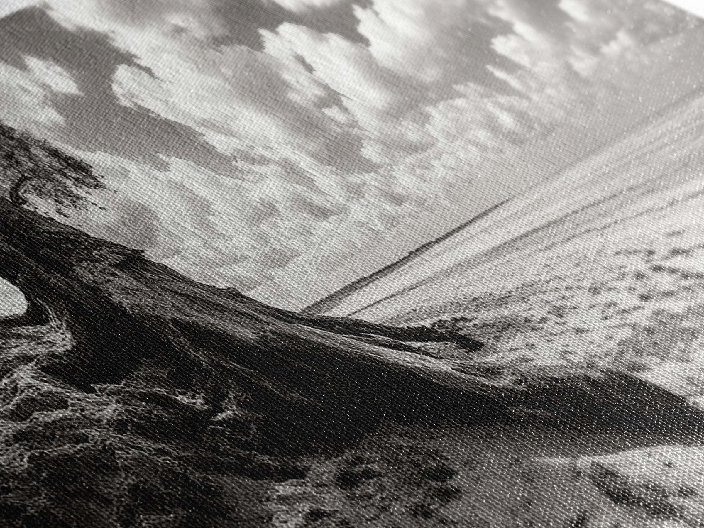 Coastal Tree Roots, Windswept Beach, Natural Form, Framed Canvas Print, Boho Wall Art, Entryway Decor, Beach House Aesthetic