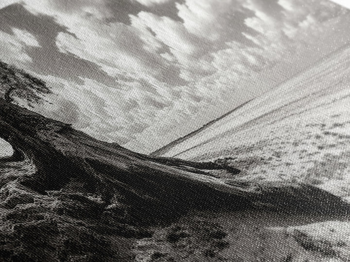 Coastal Tree Roots, Windswept Beach, Natural Form, Framed Canvas Print, Boho Wall Art, Entryway Decor, Beach House Aesthetic