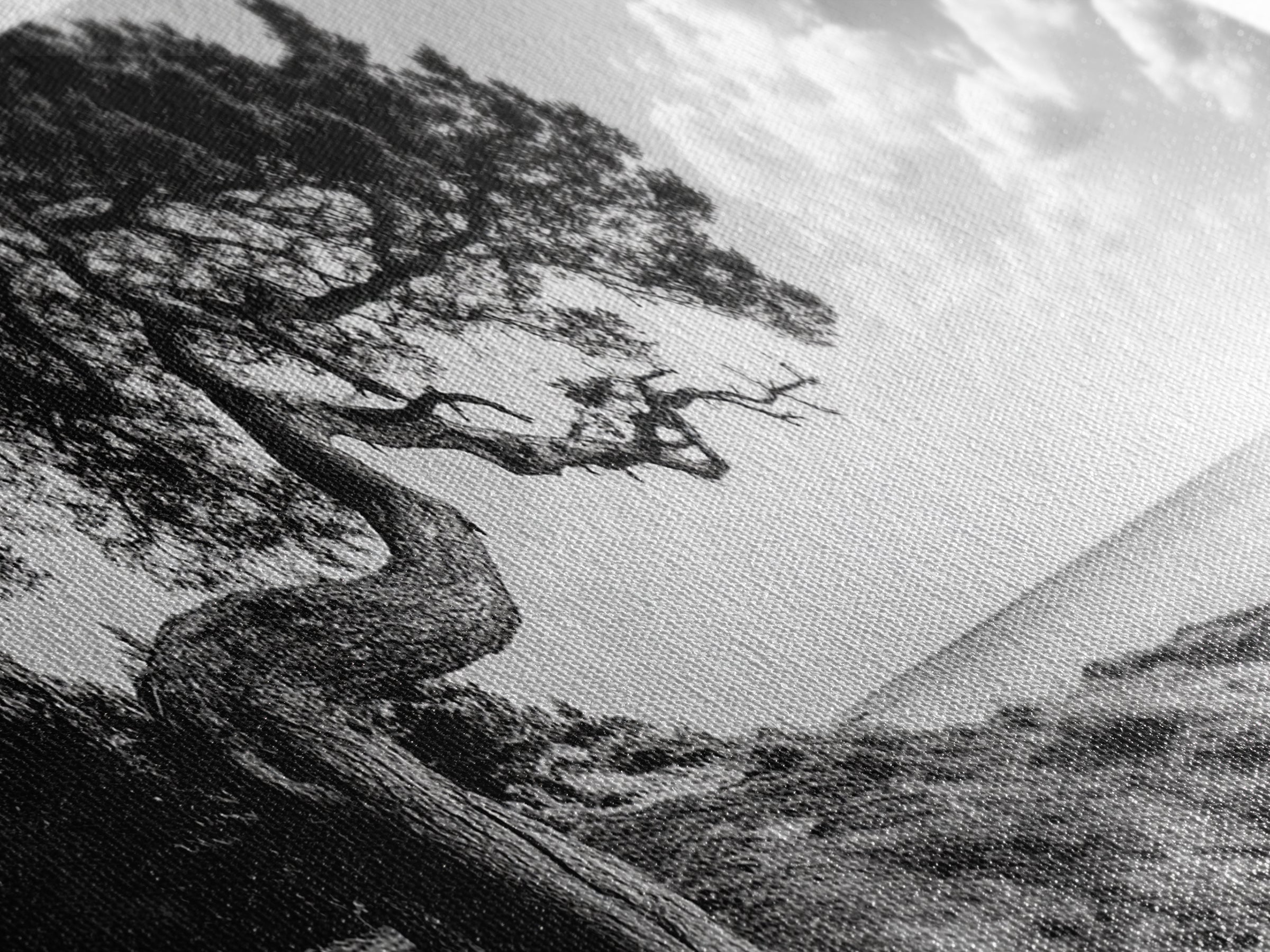 Coastal Tree, Wind Bent, Seaside Beauty, Nautical Serenity, Canvas Print, Nature Wall Art, Minimalist Decor, Coastal Living Room Art