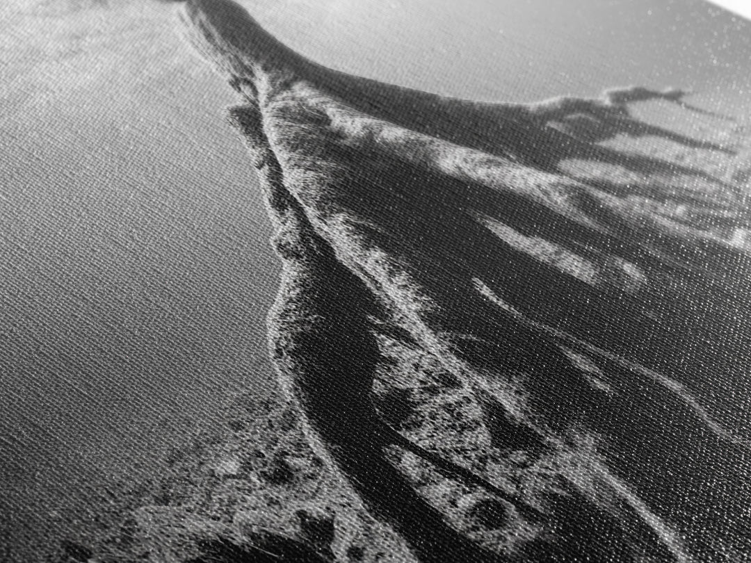 Ancient Roots, Submerged Tree, Nature Photography, Black and White, Canvas Print, Minimalist Underwater Art, Office Wall Art, Moody Decor