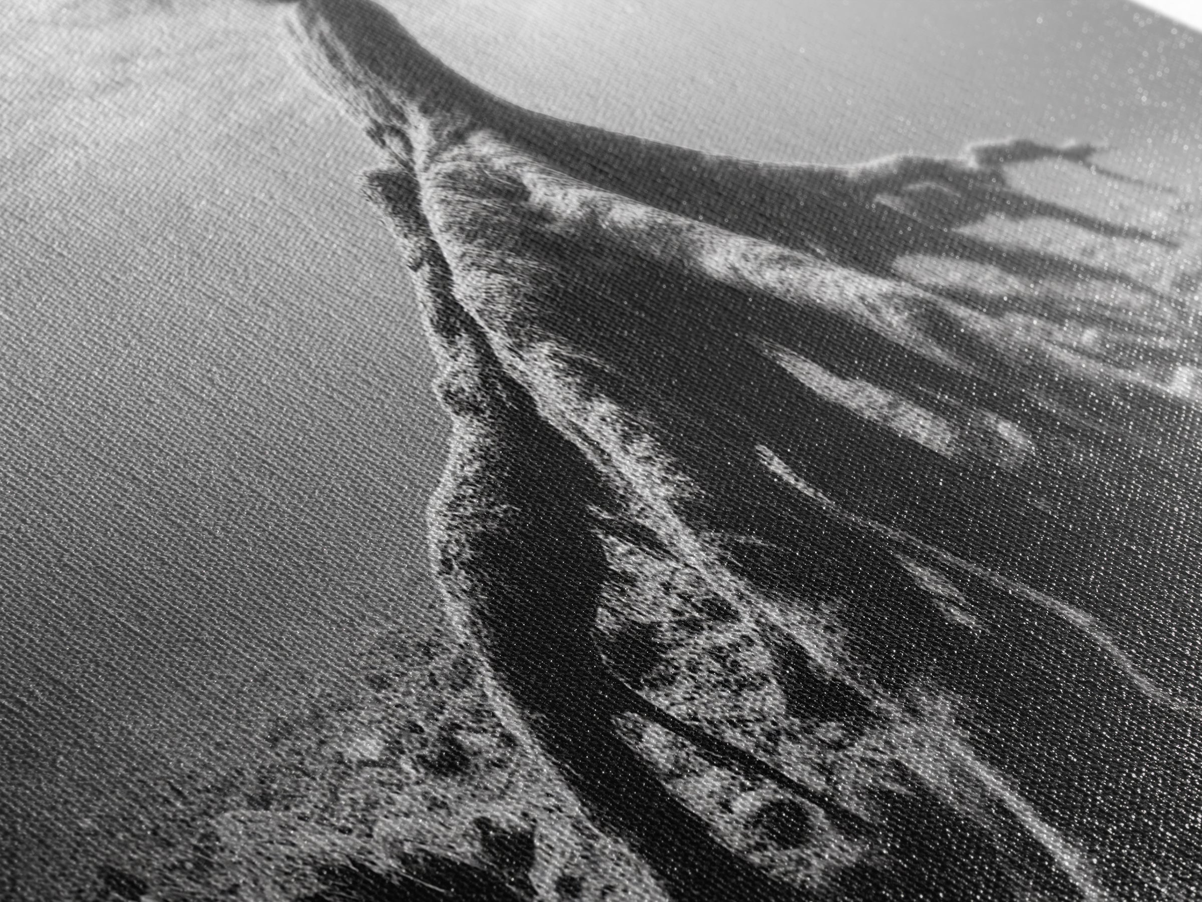 Ancient Roots, Submerged Tree, Nature Photography, Black and White, Canvas Print, Minimalist Underwater Art, Office Wall Art, Moody Decor