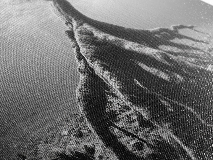 Ancient Roots, Submerged Tree, Nature Photography, Black and White, Canvas Print, Minimalist Underwater Art, Office Wall Art, Moody Decor