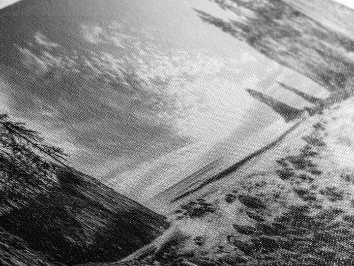 Rocky Coastal Trees, Forest Meets Ocean, Seaside Cliff View, Canvas Print, Nature Inspired Wall Art, Rustic Cabin or Beach House Decor