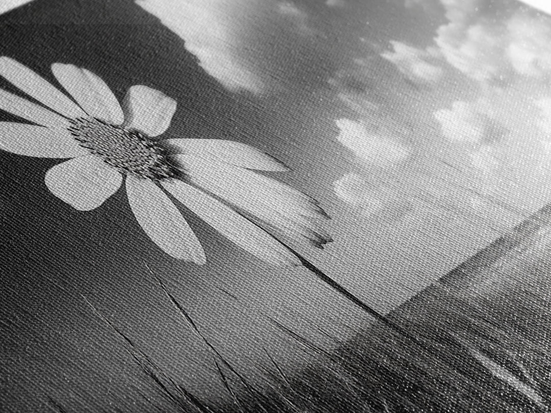 Daisy Flower, Single Bloom, Coastal Breeze, Minimal Wall Decor, Framed Canvas Print, Boho Bedroom Art, Nature Inspired Photography