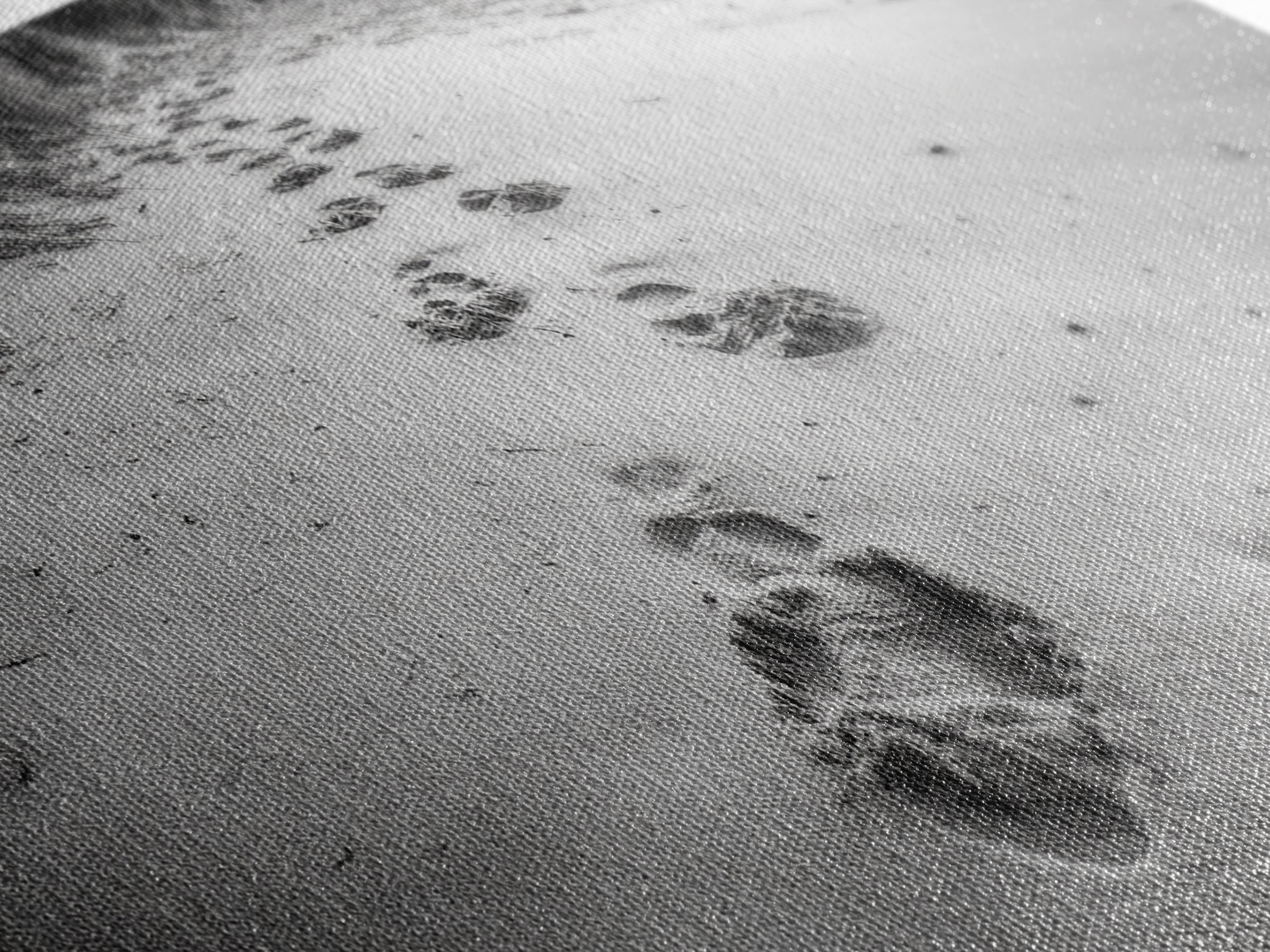 Beach Footprints, Sandy Path, Seaside Steps, Reflective Moment, Canvas Print, Minimalist Bathroom Wall Art, Tranquil Coastal Decor