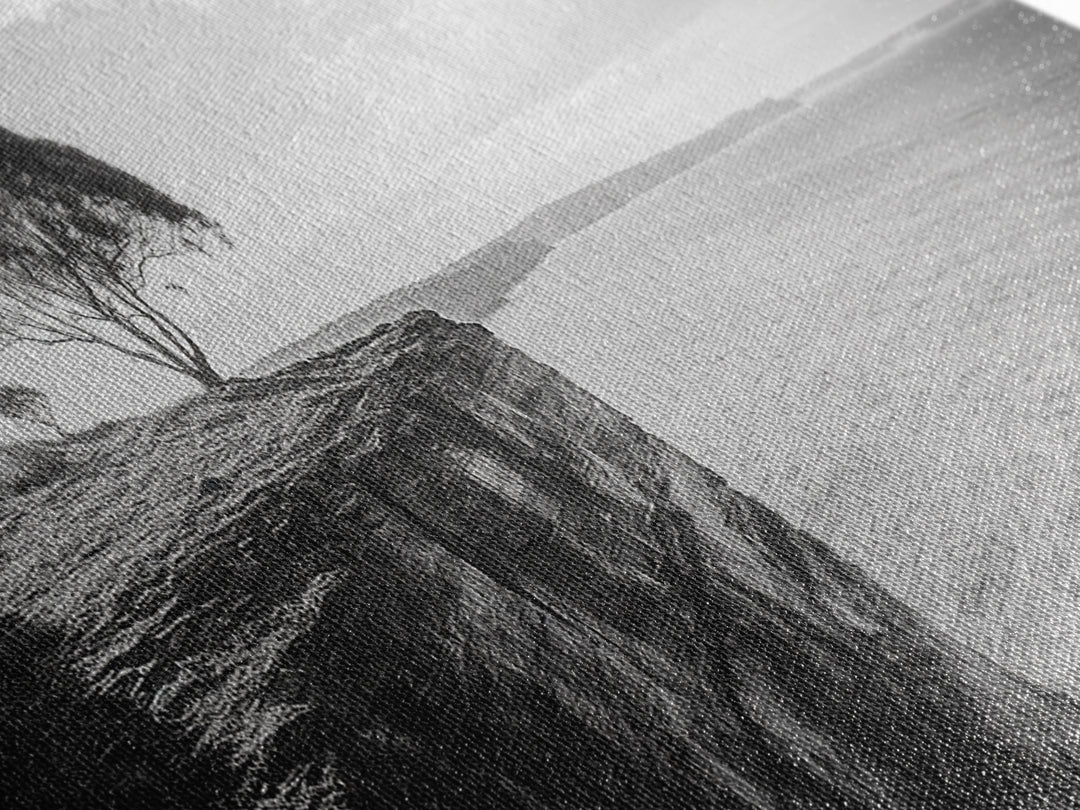 Coastal Cliff Tree, Ocean Horizon, Nature Photography, Framed Canvas Print, Minimalist Wall Art, Living Room Decor, Modern Landscape