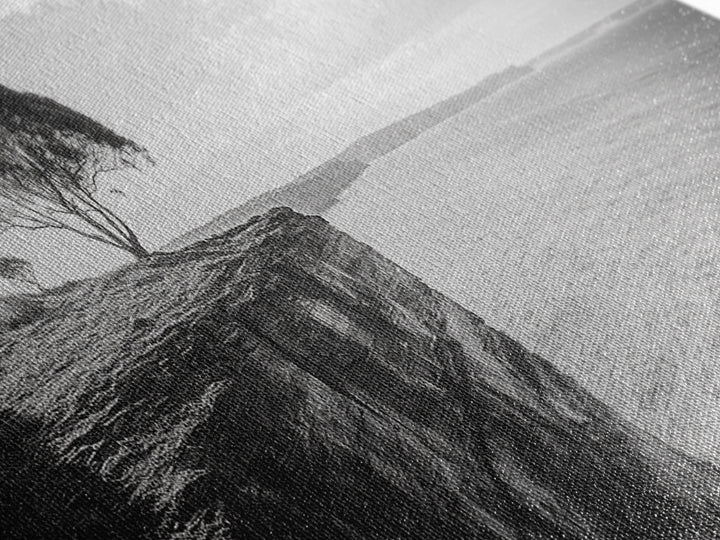 Coastal Cliff Tree, Ocean Horizon, Nature Photography, Framed Canvas Print, Minimalist Wall Art, Living Room Decor, Modern Landscape