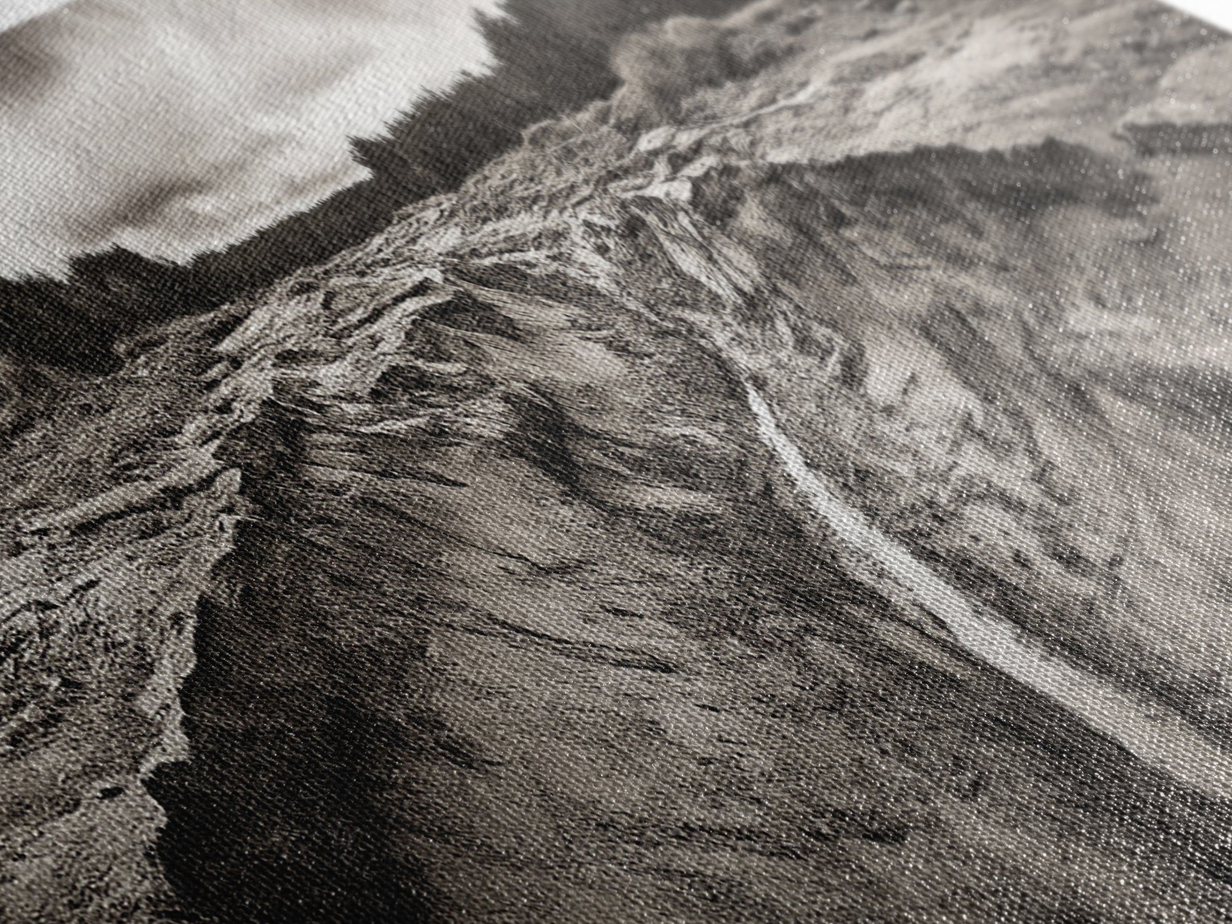 Rugged Riverbed Path, Forest Edge, Moody Terrain, Earthy Scene, Framed Canvas Print, Rustic Cabin Art, Autumn Entryway Decor