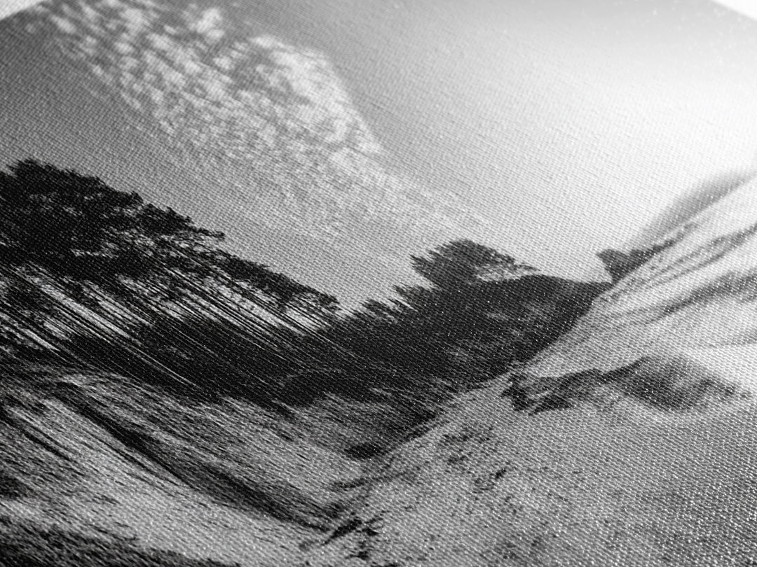 Forest Edge Beach, Coastal Sandscape, Sunset Sky, Canvas Print, Black and White Landscape, Coastal Living Room Art, Natural Vibes