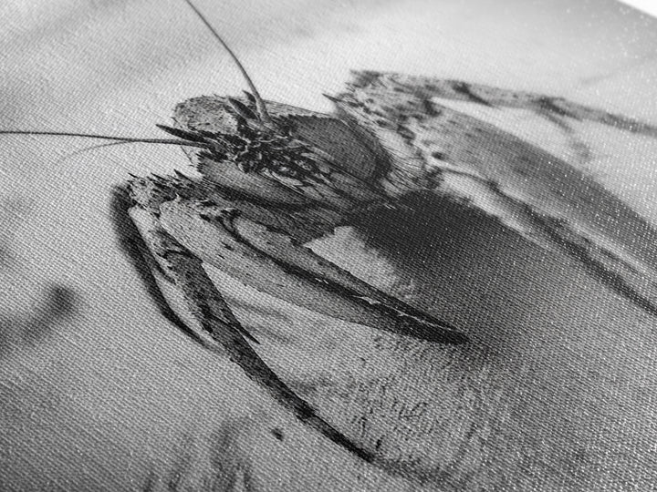 Crab Walk, Seaside Creature, Sandy Shore, Canvas Print, Coastal Nature Photography, Kids Room Ocean Decor, Minimalist Beach Art