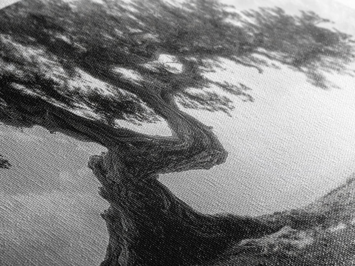 Bending Tree, Windswept Landscape, Coastal Nature, Monochrome Art, Framed Canvas Print, Zen Wall Art, Minimalist Living Room Decor