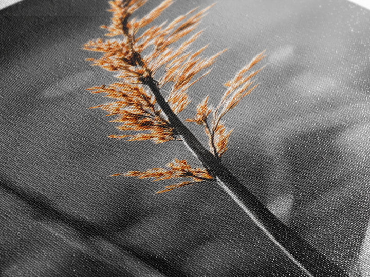 Autumn Grass, Botanical Print, Nature Photography, Single Stem, Canvas Print, Fall Wall Art, Neutral Home Decor, Minimalist Living Room Art