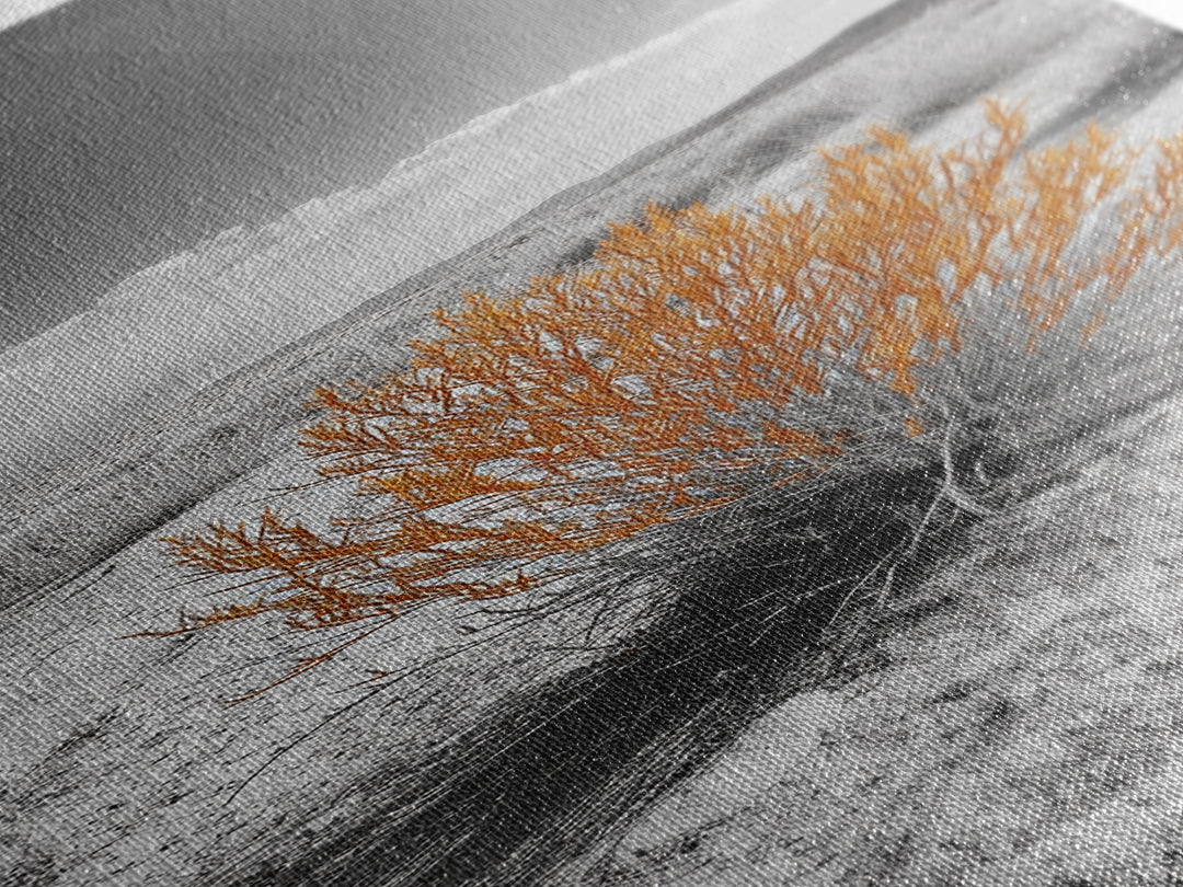 Desert Bush, Orange Foliage, Southwestern Scene, Minimalist Framed Canvas Print, desert landscape wall art, boho room decor